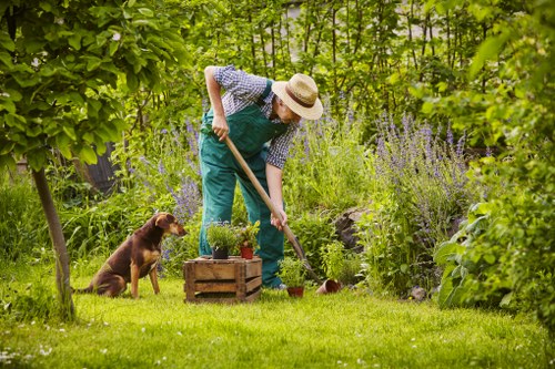 Professional hedge trimming in a Uxbridge garden