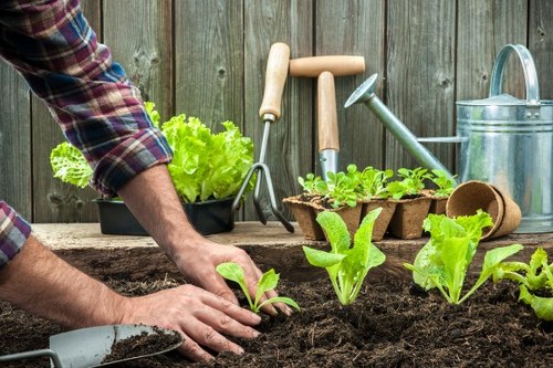 Enhancing curb appeal with professional landscaping in a Uxbridge home