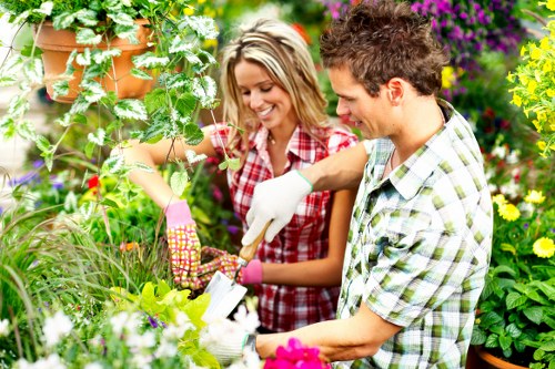 Garden debris being removed by clearance professionals