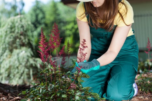 Tools used for hedge trimming in Uxbridge